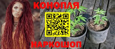 стафф Волгодонск