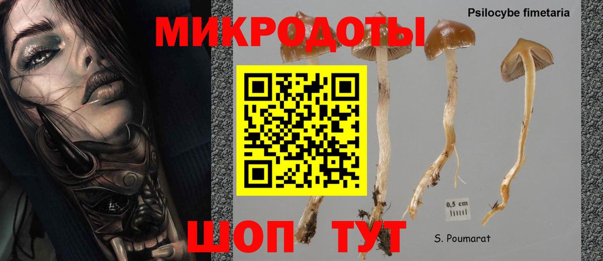 Псилоцибиновые грибы Magic Shrooms Троицк